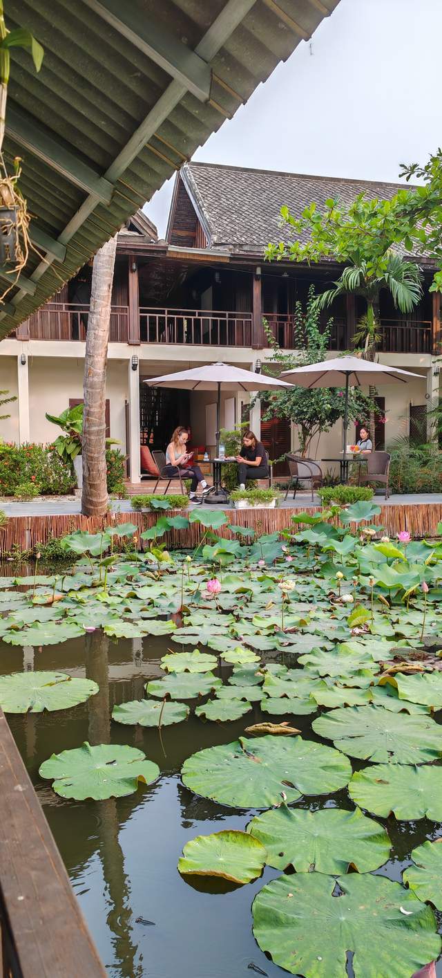 行琅勃拉邦去躺平(5千元出国攻略)九游会真人游戏第一品牌坐着高铁出国(图4) 行琅勃拉邦去躺平(5千元出国攻略)九游会真人游戏第一品牌坐着高铁出国(图4)