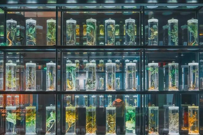 被低估的博物馆!总有一个让你心动!九游会网站全部免费!广州5个严重(图2) 被低估的博物馆!总有一个让你心动!九游会网站全部免费!广州5个严重(图2)